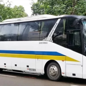 teoboon-45-seater