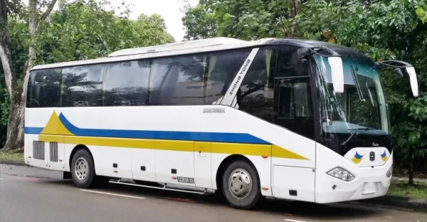 teoboon-45-seater